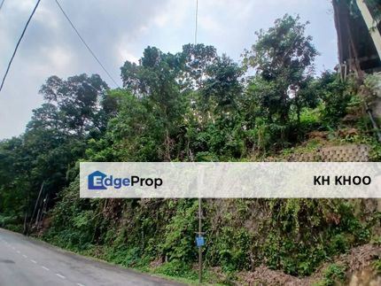(Freehold) Bungalow Land for Sales @ Bukit Gasing, Petaling Jaya, Selangor, Selangor, Petaling Jaya