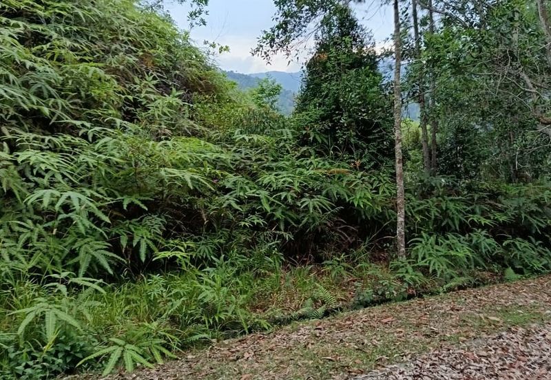 Berjaya Hills Resort Bukit Tinggi Bentong Pahang