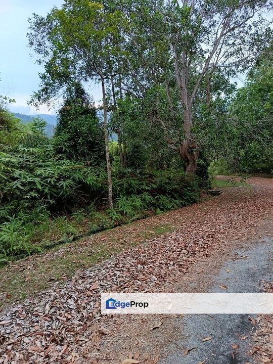 Berjaya Hills Resort Bukit Tinggi Bentong Pahang, Pahang, Bentong