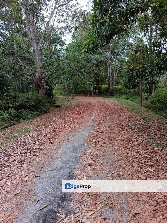 Berjaya Hills Resort Bukit Tinggi Bentong Pahang, Pahang, Bentong