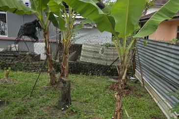 Taman Tasik Semenyih (Lake Residence)