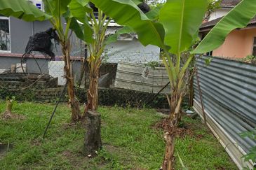 Taman Tasik Semenyih (Lake Residence)