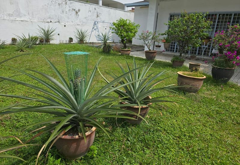 Taman OUG Kuala Lumpur semi D