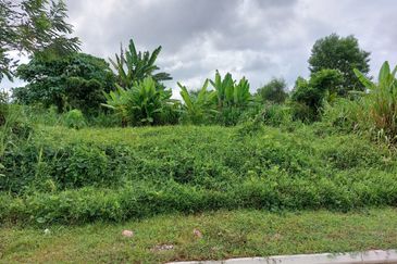 Arab Malaysian Industrial Park