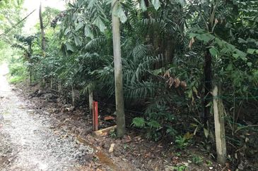 Kawasan Perindustrian Nilai