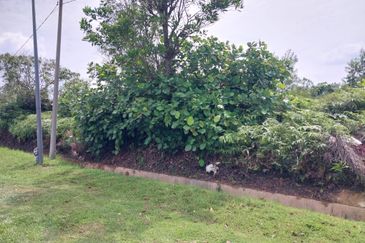 Jalan Besar, Nilai-Pajam