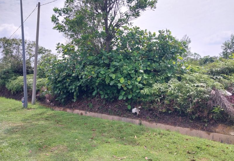 Jalan Besar, Nilai-Pajam