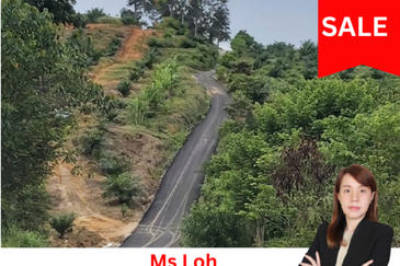 Seelong Selatan Agricultural Land for Sale