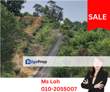 Seelong Selatan Agricultural Land for Sale, Johor, Senai