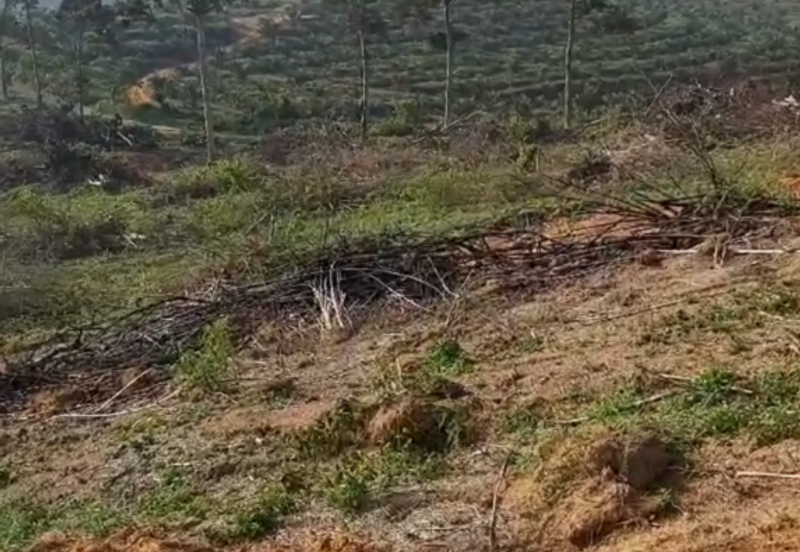 Seelong Selatan Agricultural Land for Sale