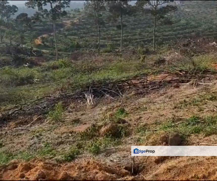 Seelong Selatan Agricultural Land for Sale, Johor, Senai