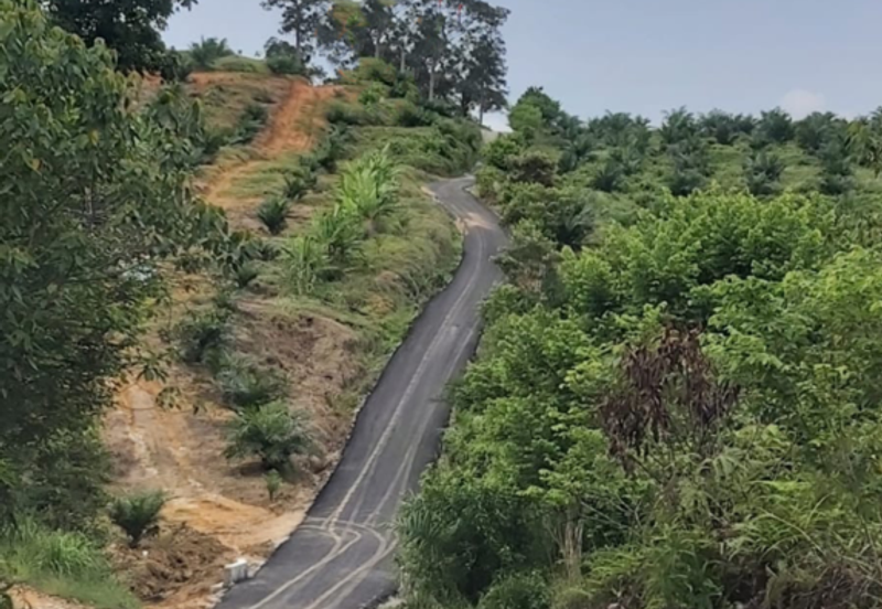 Seelong Selatan Agricultural Land for Sale