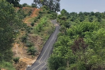 Seelong Selatan Agricultural Land for Sale