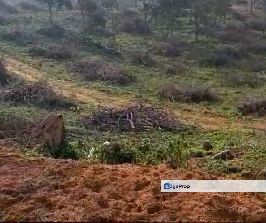 Seelong Selatan Agricultural Land for Sale, Johor, Senai