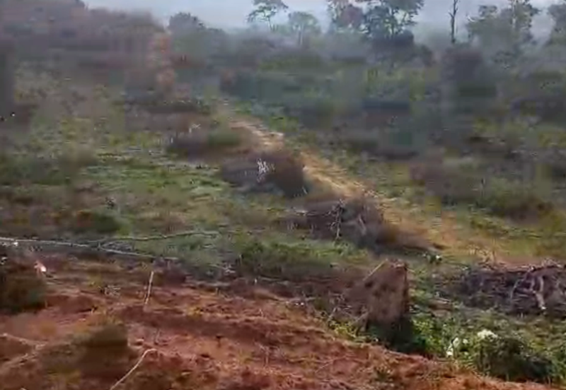 Seelong Selatan Agricultural Land for Sale