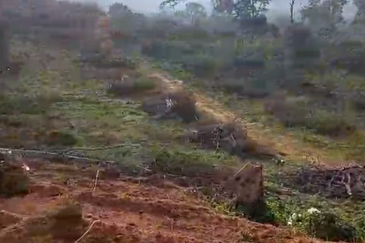 Seelong Selatan Agricultural Land for Sale