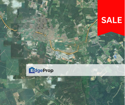 Pekan Nanas Industrial Land for Sale, Johor, 