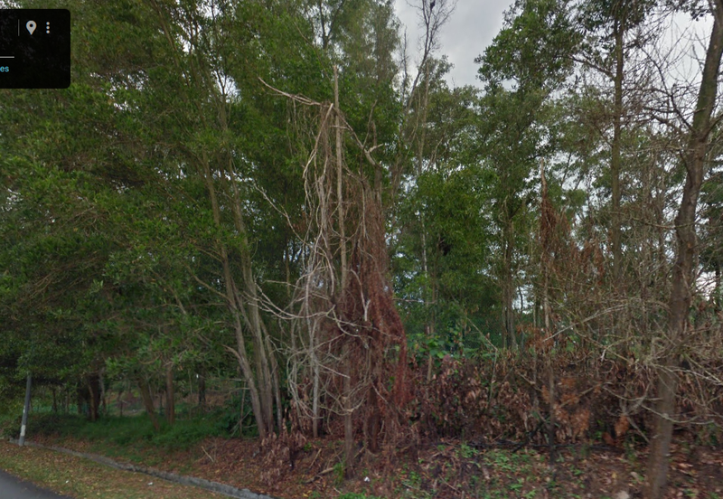 Bandar Baru Salak Tinggi  - Empty Land to Let with DO