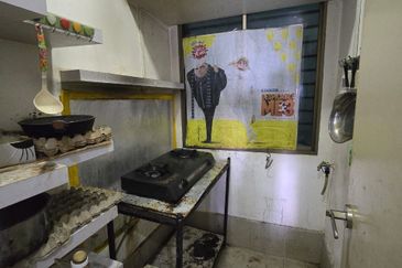 Palazio ( Pangsapuri Mayland Austin )