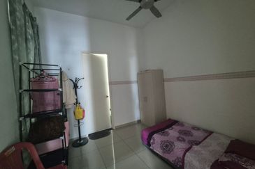 The Rainforest @ Eco Tropics