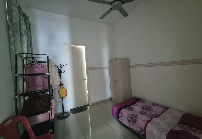 The Rainforest @ Eco Tropics