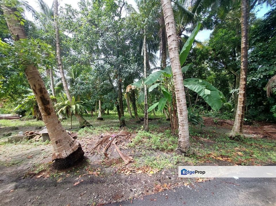 Sungai Bakap 1.26 acre Freehold Development Land For Sale, Penang, Sungai Bakap 