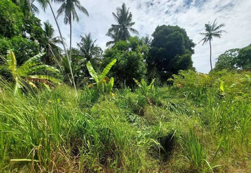 Jalan Besar Sungai Bakap