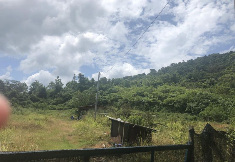 7 Plot Dusun bersambung 8.06 ekar di Jabi, Pokok Sena, Kedah