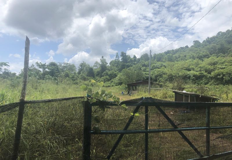 7 Plot Dusun bersambung 8.06 ekar di Jabi, Pokok Sena, Kedah