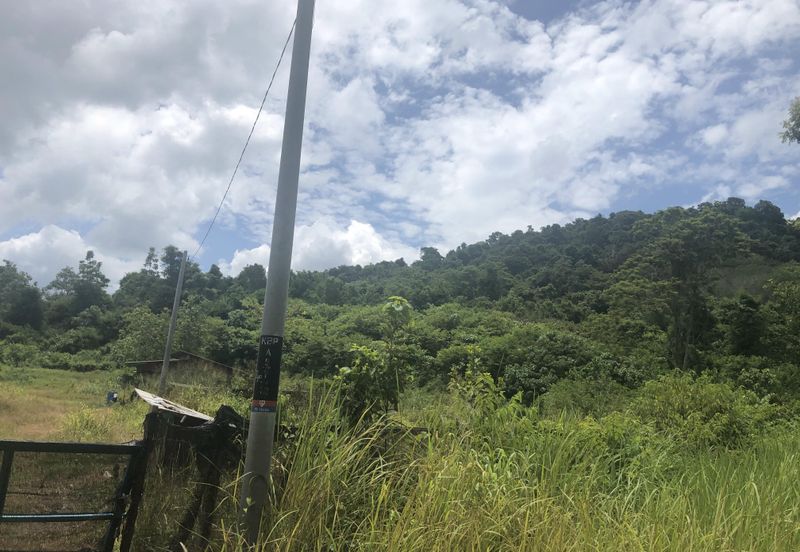 7 Plot Dusun bersambung 8.06 ekar di Jabi, Pokok Sena, Kedah