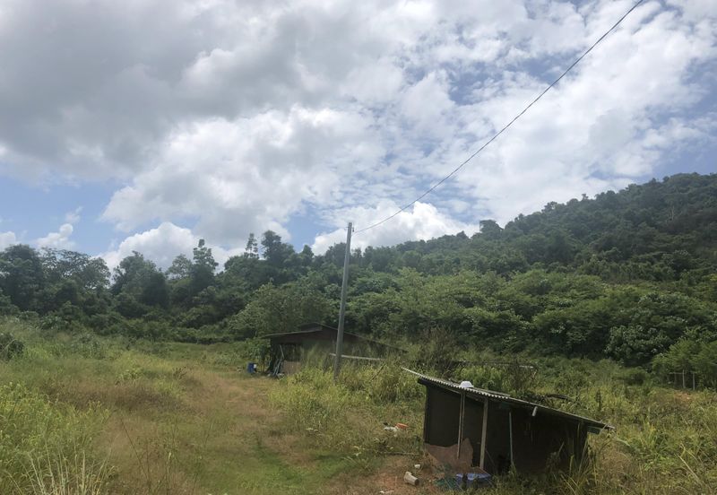 7 Plot Dusun bersambung 8.06 ekar di Jabi, Pokok Sena, Kedah