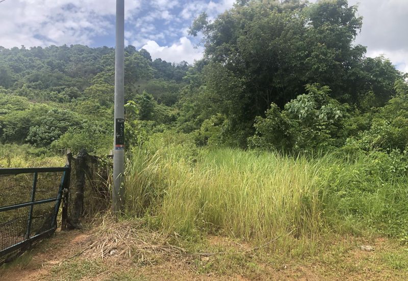 7 Plot Dusun bersambung 8.06 ekar di Jabi, Pokok Sena, Kedah