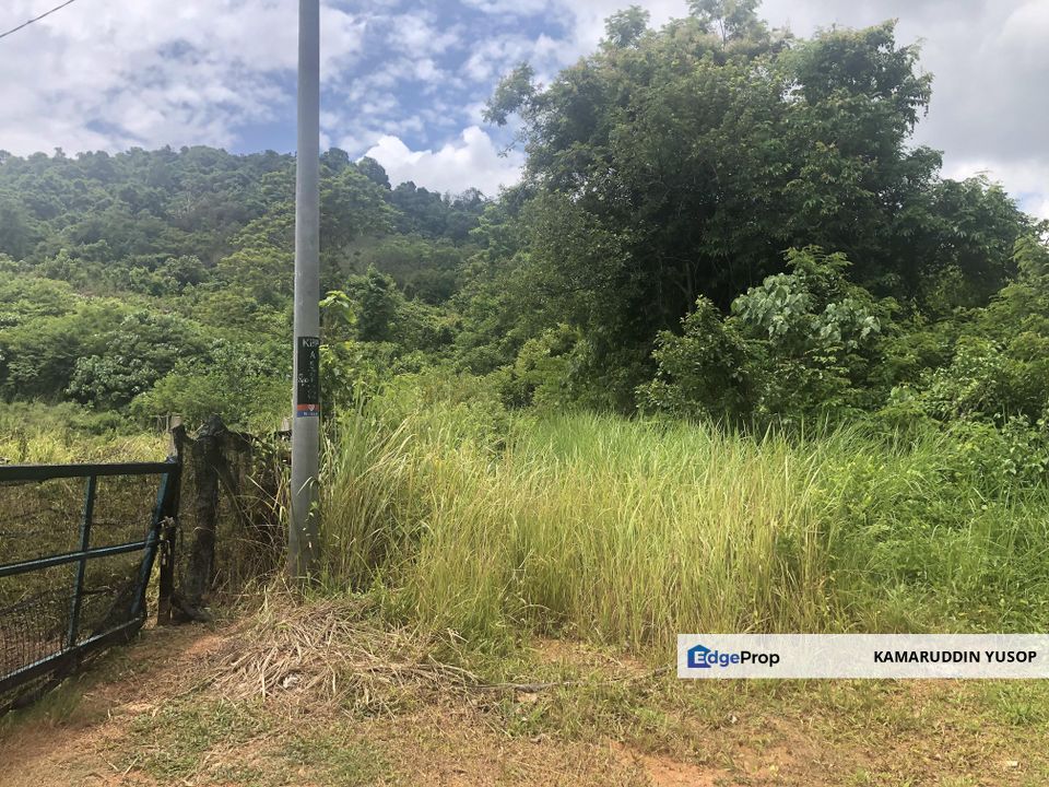 7 Plot Dusun bersambung 8.06 ekar di Jabi, Pokok Sena, Kedah, Kedah, Pokok Sena