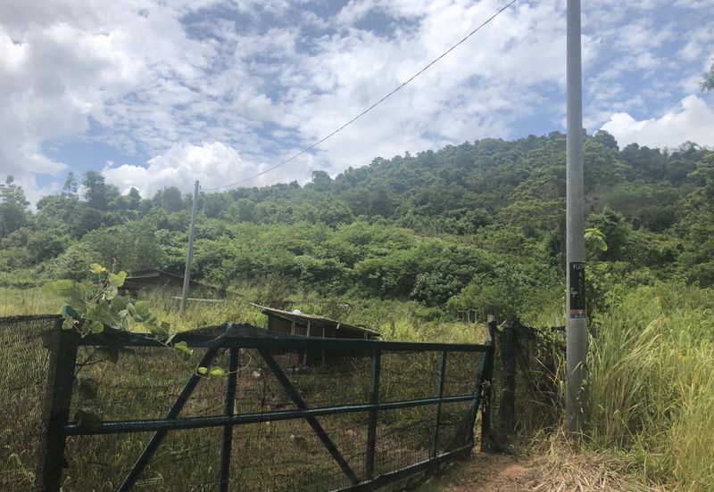 7 Plot Dusun bersambung 8.06 ekar di Jabi, Pokok Sena, Kedah