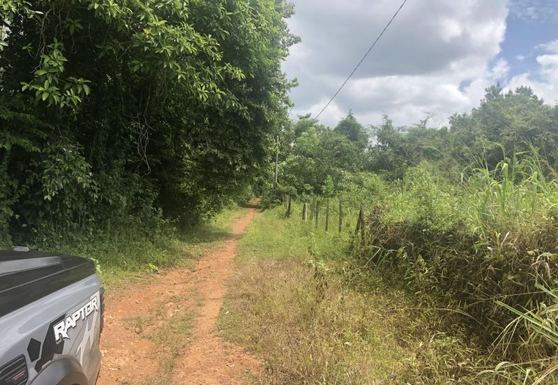 7 Plot Dusun bersambung 8.06 ekar di Jabi, Pokok Sena, Kedah