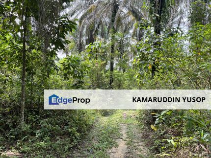 Freehold 1 acre Agriculture Land near GMI Kajang & UKM Bangi, Selangor, Bangi