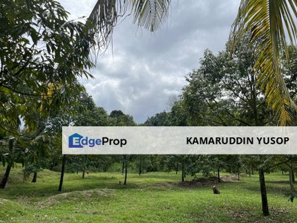 Tanah DUSUN DURIAN 2 ekar Freehold tepi Highway LEKAS 5km ke Toll PAJAM Seremban, Negeri Sembilan, Seremban