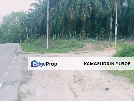 TANAH Kelapa Sawit 4 ekar Bukit Senggeh, Selandar JASIN MELAKA, Melaka, Jasin