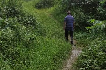 Tanah 3.5 ekar Geran Kongsi dekat Univ Sultan Azlan Shah (USAS) Tmn Chandan Puteri KUALA KANGSAR Perak