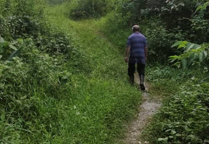 Tanah 3.5 ekar Geran Kongsi dekat Univ Sultan Azlan Shah (USAS) Tmn Chandan Puteri KUALA KANGSAR Perak