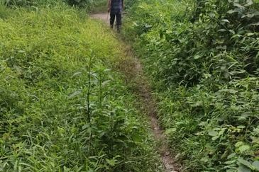 Tanah 3.5 ekar Geran Kongsi dekat Univ Sultan Azlan Shah (USAS) Tmn Chandan Puteri KUALA KANGSAR Perak