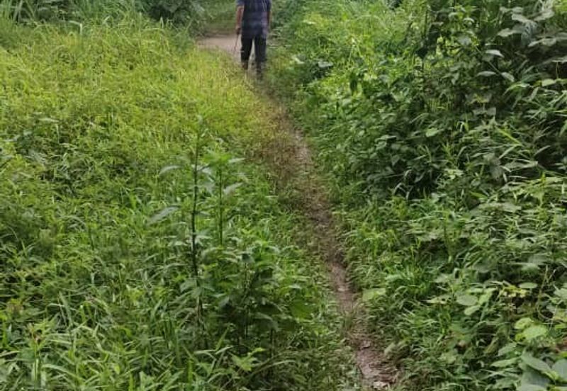 Tanah 3.5 ekar Geran Kongsi dekat Univ Sultan Azlan Shah (USAS) Tmn Chandan Puteri KUALA KANGSAR Perak