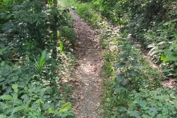 Tanah 3.5 ekar Geran Kongsi dekat Univ Sultan Azlan Shah (USAS) Tmn Chandan Puteri KUALA KANGSAR Perak