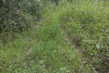 Tanah 3.5 ekar Geran Kongsi dekat Univ Sultan Azlan Shah (USAS) Tmn Chandan Puteri KUALA KANGSAR Perak