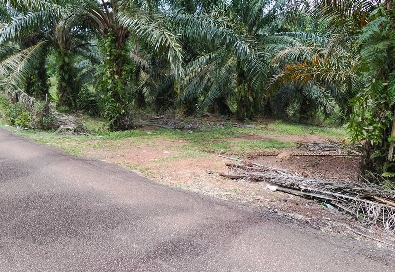 Freehold Agricultural Land Paya Rumput MELAKA Tengah.