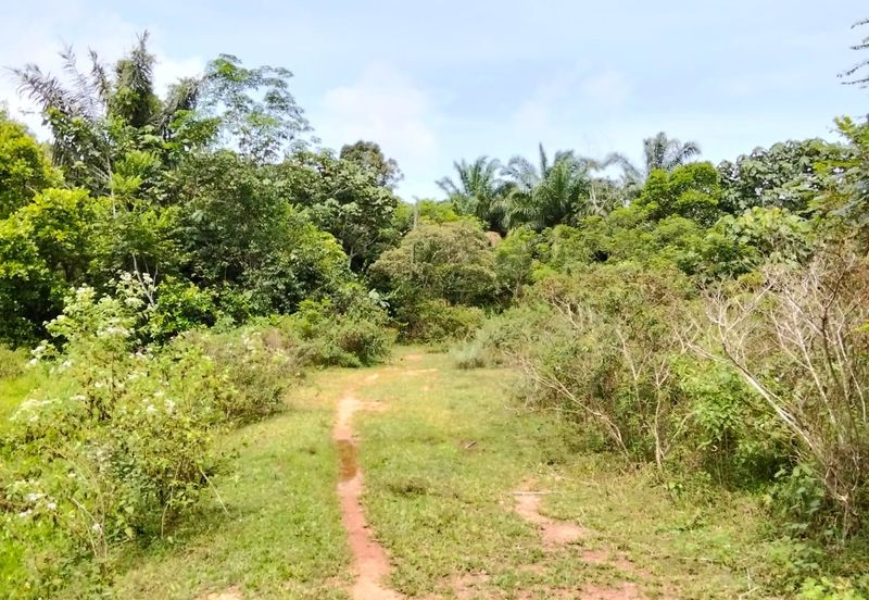 Freehold Agricultural Land Paya Rumput MELAKA Tengah.