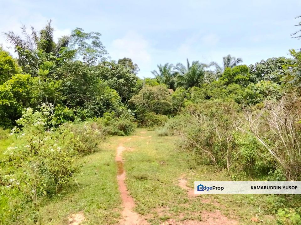 Freehold Agricultural Land Paya Rumput MELAKA Tengah., Melaka, Melaka Tengah