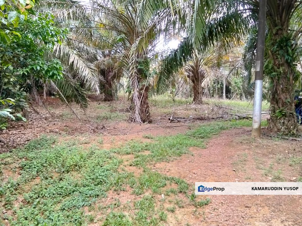 Freehold Agricultural Land Paya Rumput MELAKA Tengah., Melaka, Melaka Tengah