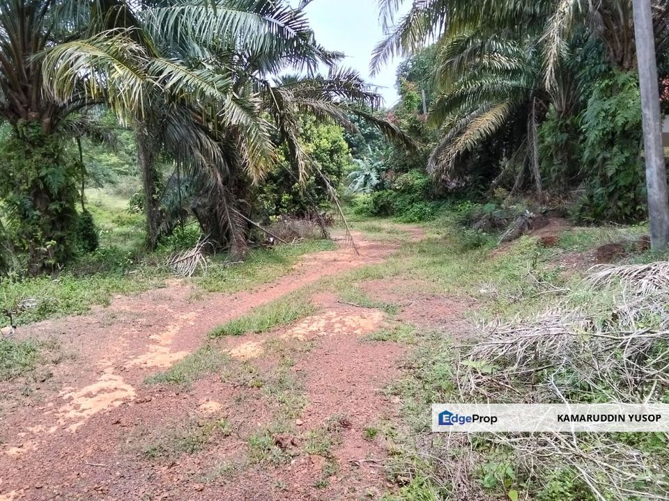 Freehold Agricultural Land Paya Rumput MELAKA Tengah., Melaka, Melaka Tengah