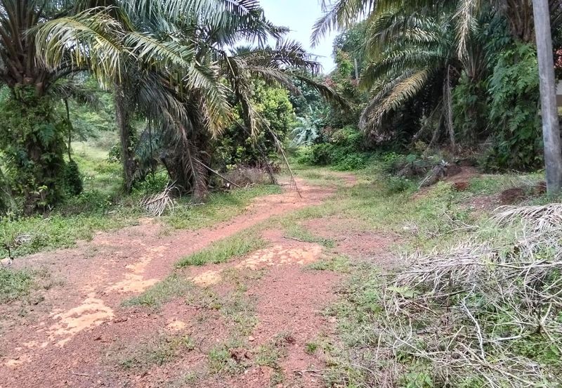 Freehold Agricultural Land Paya Rumput MELAKA Tengah.